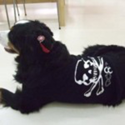 ワンちゃんギャラリー