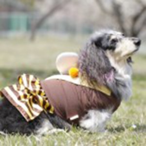 important_img008