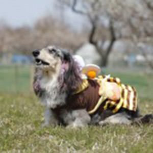 important_img009
