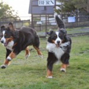 important_img011