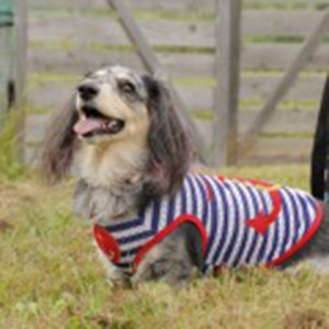 important_img015