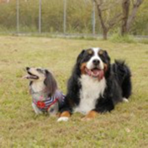 important_img016