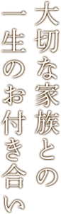 main_copy03