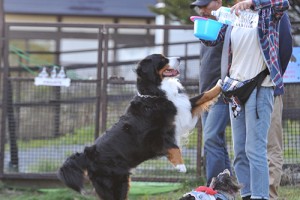 run_img002
